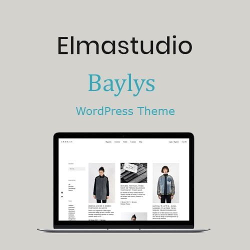 ElmaStudio-Baylys-WordPress-Theme.jpg